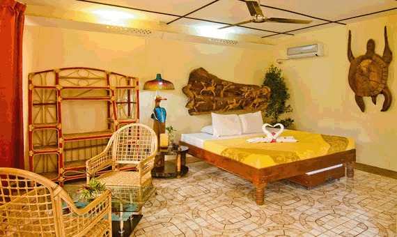 Deep Forest Garden Inn Palawan PROMO G: WITH-AIRFARE (VIA-DAVAO) ALL-IN WITH FREE CITY TOUR puerto-princesa Packages